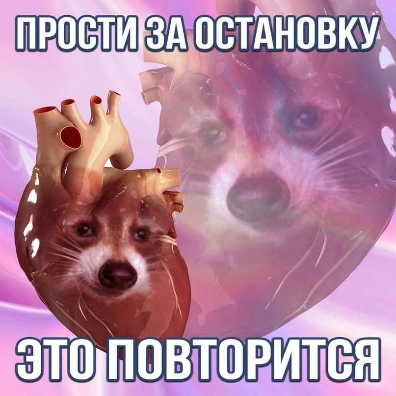 ПРОСТИ ЗА ОСТАНОВКУ, у