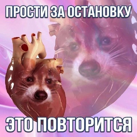 ПРОСТИ ЗА ОСТАНОВКУ, у