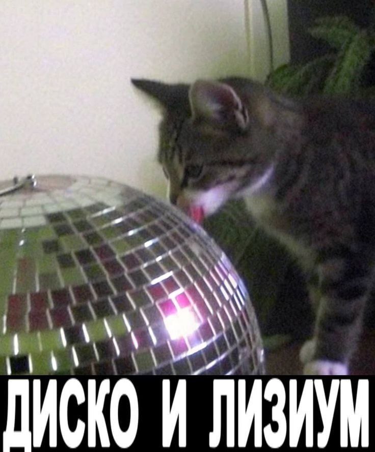 ИСКО И ЛИЗИУМ