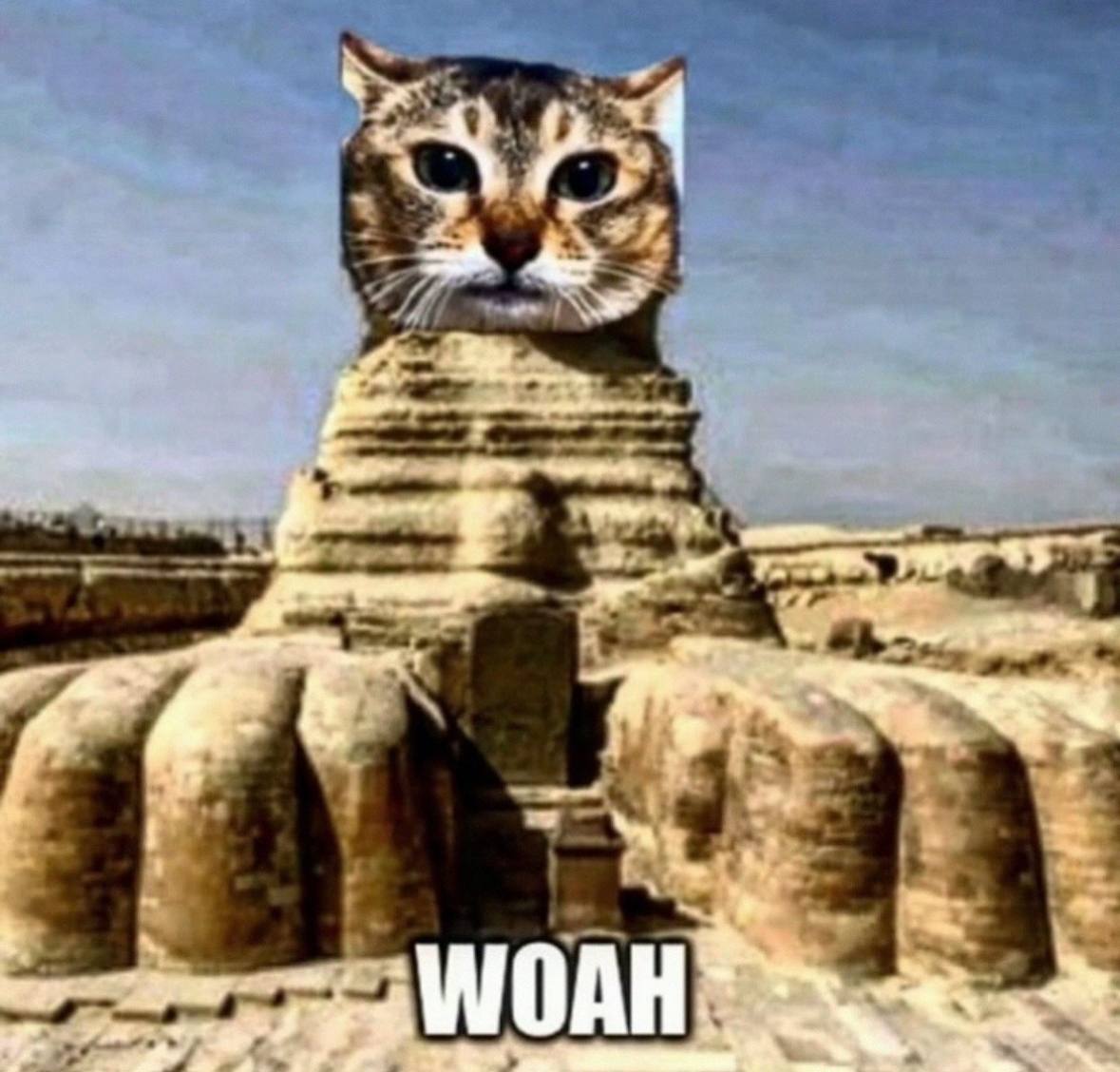 WOAH