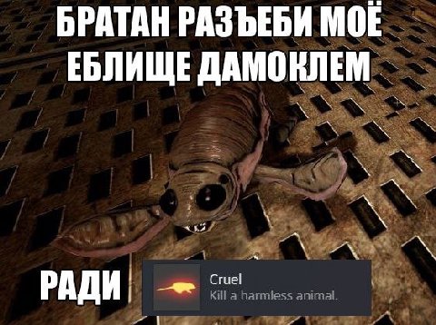 БРАТАН РАЗЪЕБИ МОЕ ЕБЛИЩЕ ДАМОКЛЕМ Cruel РАДИ.