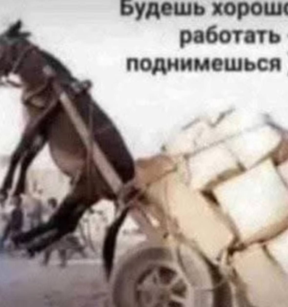 будешь работать поднимешься
