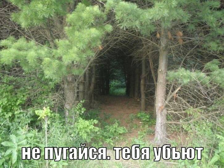 73 а at и И Я 10 у VOB ral