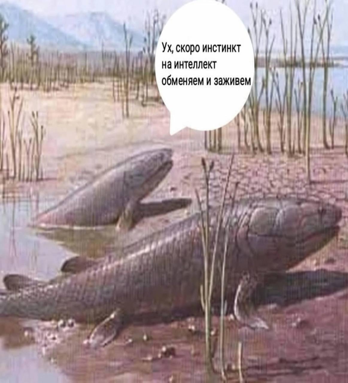 скоро инстинкт интеллект обменяем и заживем #3 4 sat