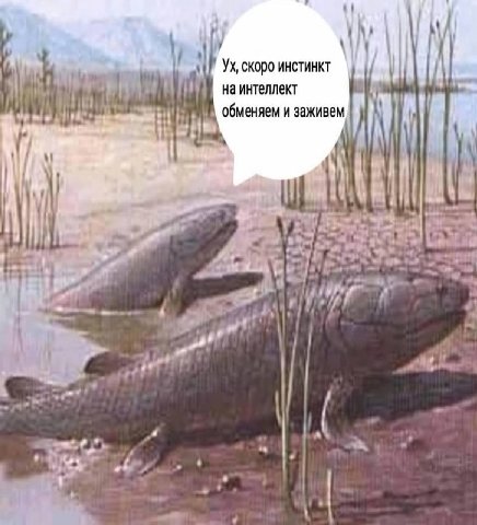 скоро инстинкт интеллект обменяем и заживем #3 4 sat