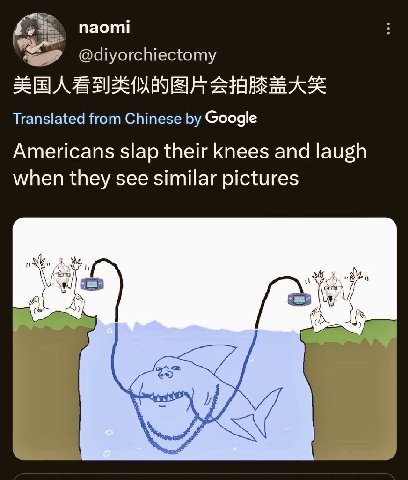naomi @diyorchiectomy Translated from Chinese Google Americans slap their knees and laugh when they see similar pictures