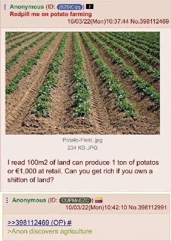 Anonymous Redpill me on potato farming 10/03/22(Mon)10:37:44 No.398112469 2 Potato-Field..jpg 234 JPG read of land can produce 1 ton of potatos or €1,000 at retail. Can you get rich if you own а shitt