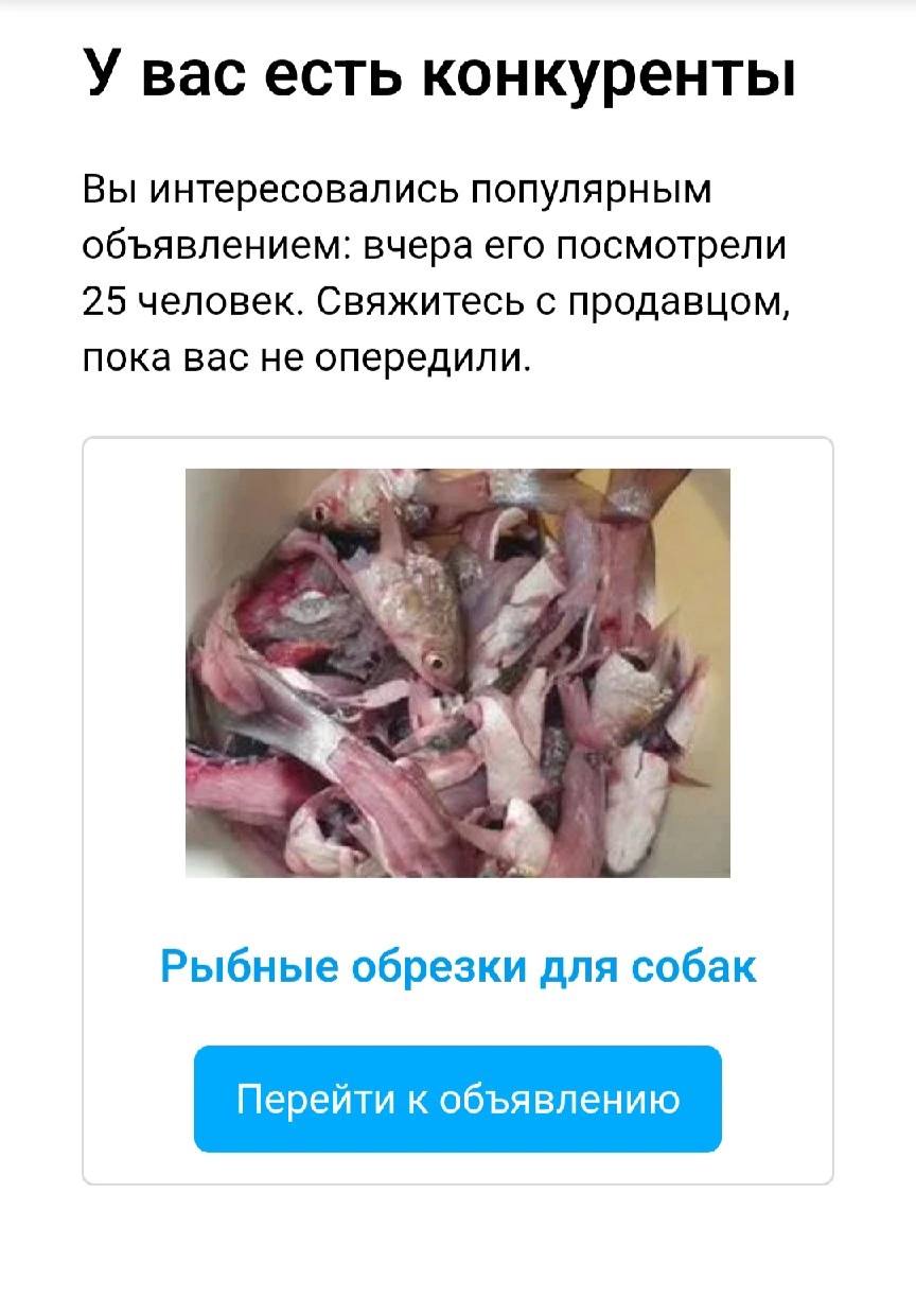 У вас есть конкуренты Вы интересовались популярным объявлением: вчера его посмотрели 25 человек. Свяжитесь с продавцом, пока вас не опередили. Рыбные обрезки для собак