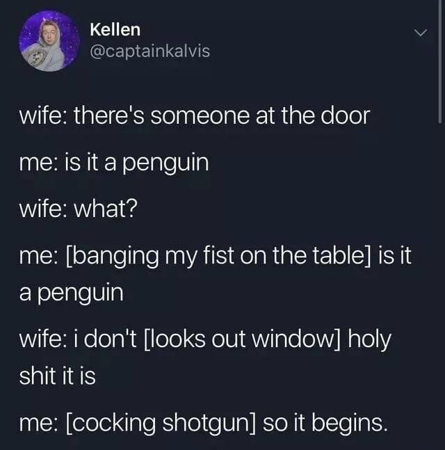@captainkalvis wife: there's someone at the door me: 15 it a penguin wife: what? me: [banging my fist on the table] is it a penguin wife: i don't [looks out window] holy shit it is me: [cocking shotgu