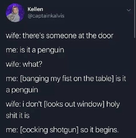 @captainkalvis wife: there's someone at the door me: 15 it a penguin wife: what? me: [banging my fist on the table] is it a penguin wife: i don't [looks out window] holy shit it is me: [cocking shotgu