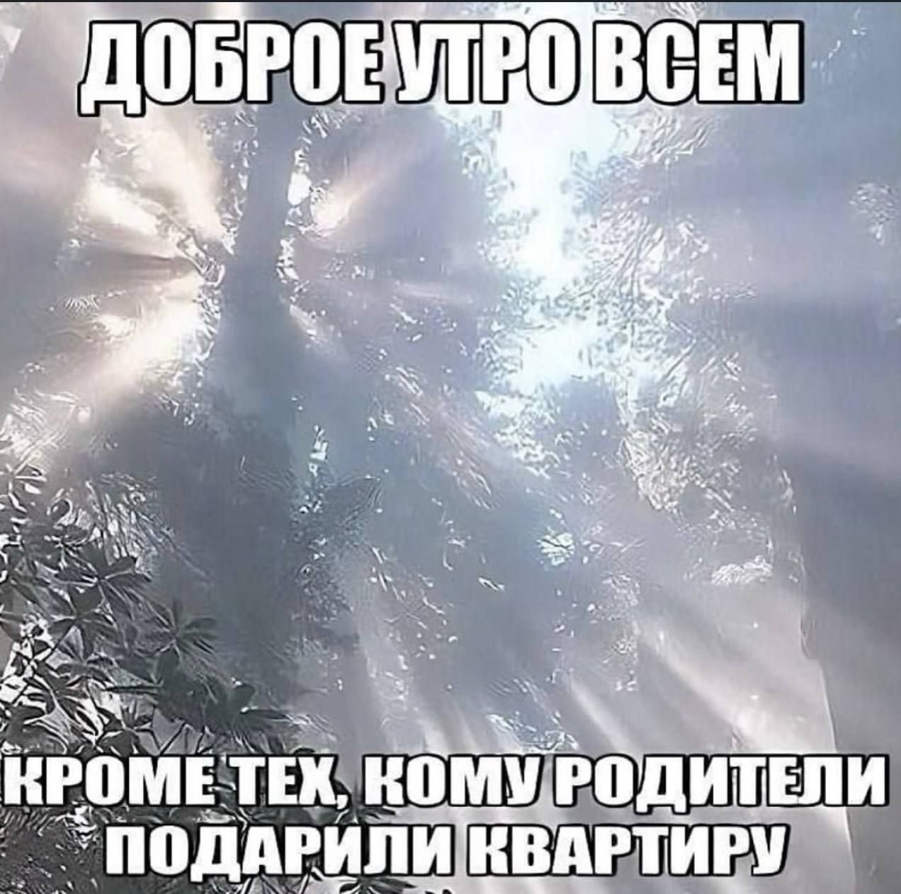 2% AS No A AS KPOM ТЕХ. КОМУ РОДИТЕЛИ по АРИЛИ КВАРТИРУ