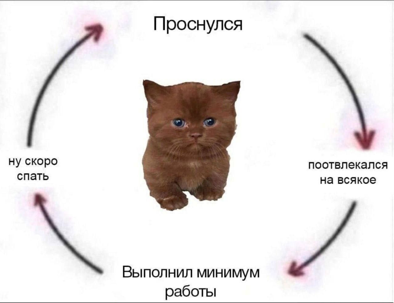Проснулся ну скоро поотвлекался спать на всякое Выполнил минимум работы