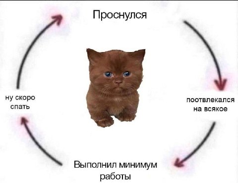 Проснулся ну скоро поотвлекался спать на всякое Выполнил минимум работы