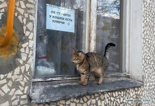 3 УЧИТЕ У Koy ЕСТЬ as 4 А я 4 we
