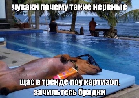 чуваки почему такие нервные „Я у щас в тренде лоу картизол, зачильтесь