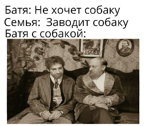 Батя: Не хочет собаку Семья: Заводит собаку Батя с собакой: 2