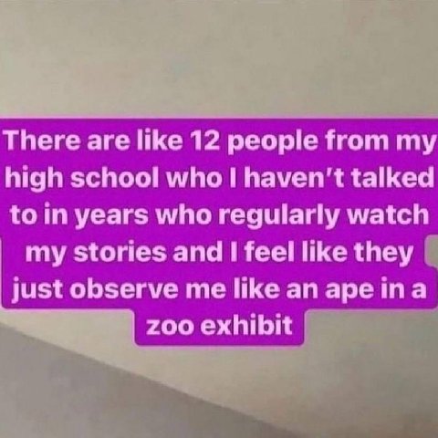 There are like 12 people from high school who I haven't talked years who regularly watch my stories and I feel like they Just observe like an гоо exhibit