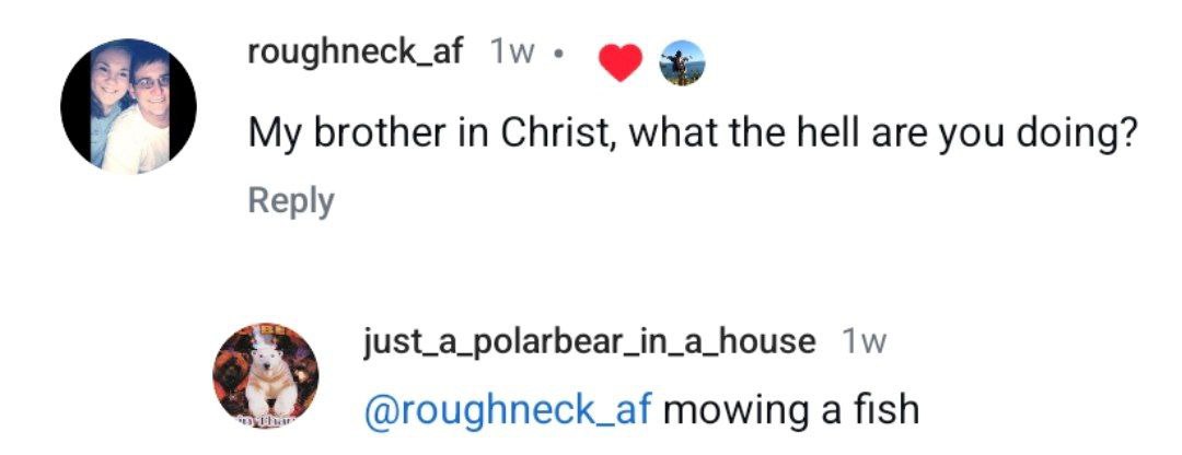 roughneck_af My brother in Christ, what the hell are you doing? Reply just_a_polarbear_in_a_house @roughneck_af mowing а fish
