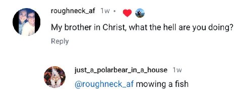roughneck_af My brother in Christ, what the hell are you doing? Reply just_a_polarbear_in_a_house @roughneck_af mowing а fish