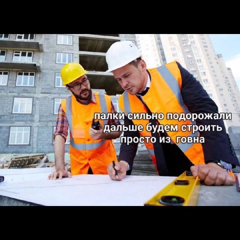 aro Бы, ли палки сильно подорожа дальше будем строить „_просто из говна