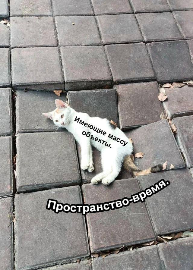 4, 3 Cay, ство Прост ран 4 i 27 4 43