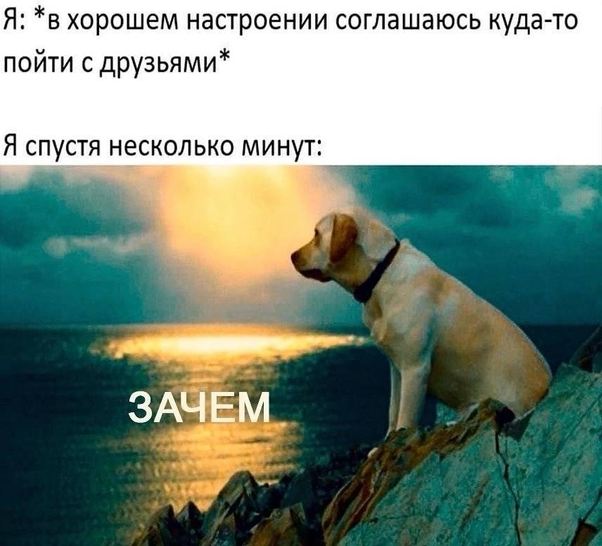 хорошем настроении соглашаюсь куда-то пойти с друзьями* Я спустя несколько минут: ЗАЧЕМ