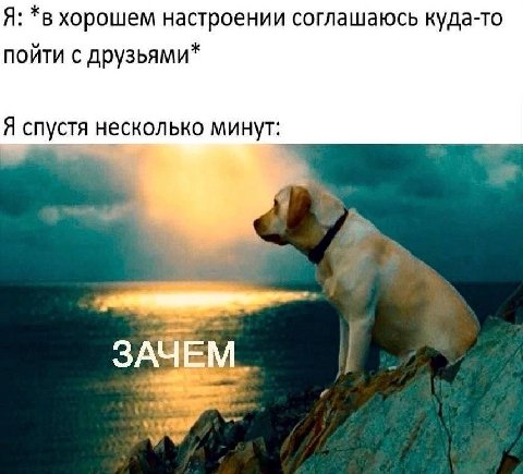 хорошем настроении соглашаюсь куда-то пойти с друзьями* Я спустя несколько минут: ЗАЧЕМ