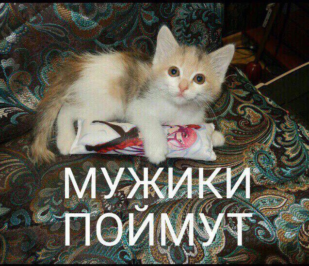 Я МУЖИКИ ПОЙ