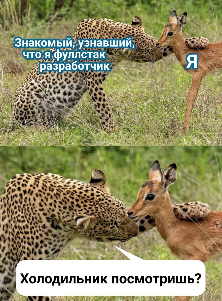 2, Знакомый, узнавший, что.я разработчик A. А Холодильник посмотришь?