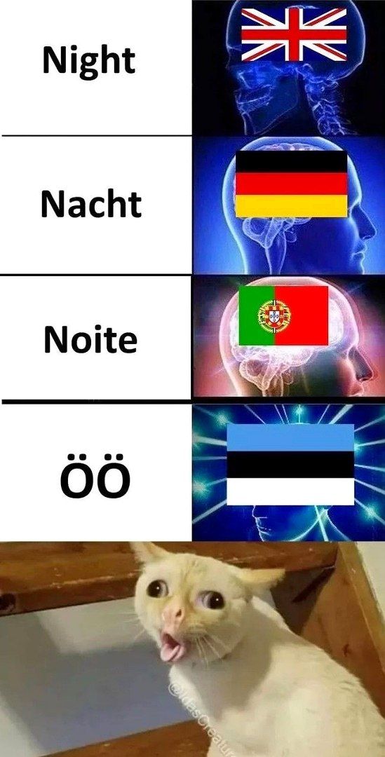 Noite 4