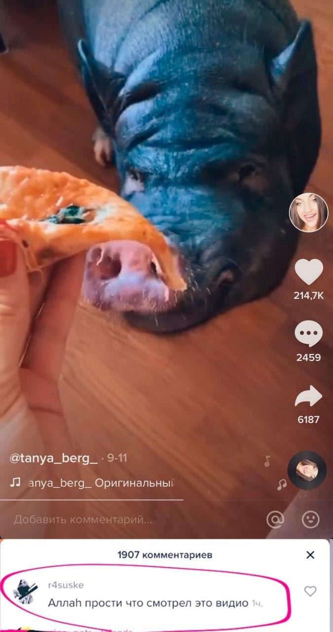 2459 6187 @tanya_berg_ 9-11 anya_berg_ Оригинальны 3? 1907 комментариев 4 Аллай прости что смотрел это видио