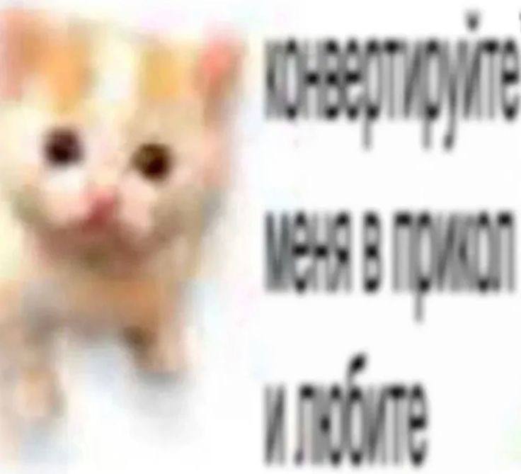 К.