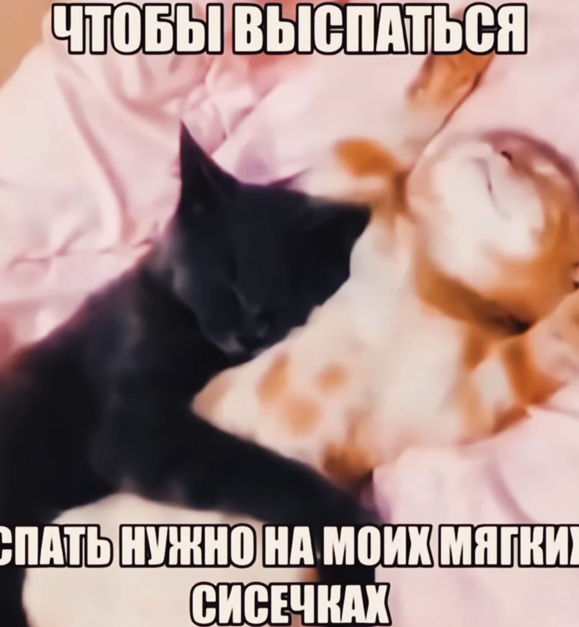 ПАТЬ