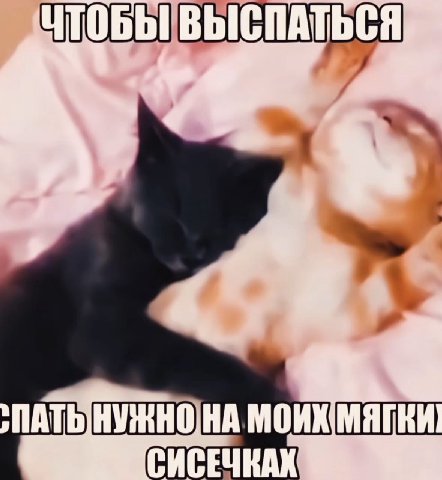 ПАТЬ