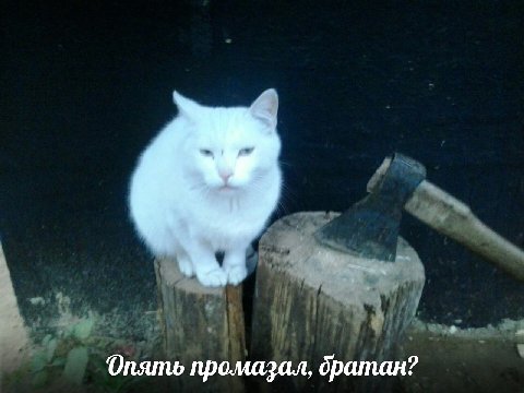 Опять промазал, братан?