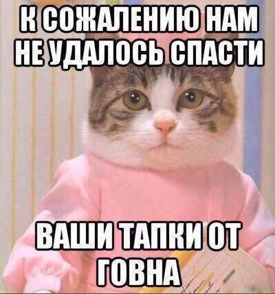 HAM УДАЛОСЬ СПАСТИ a И ТАПКИ ГОВНА