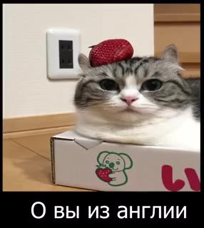 О вы из англии
