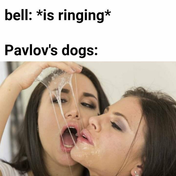 bell: *is ringing* Pavlov's dogs: