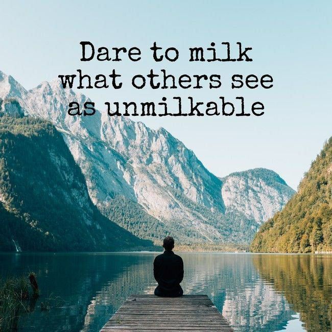 Dare to milk what others see unmilkable 4 2%