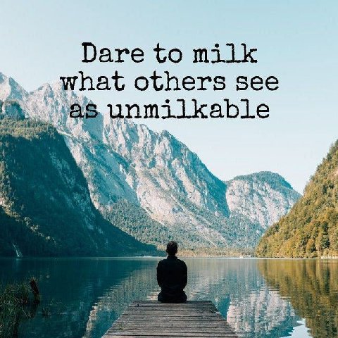Dare to milk what others see unmilkable 4 2%