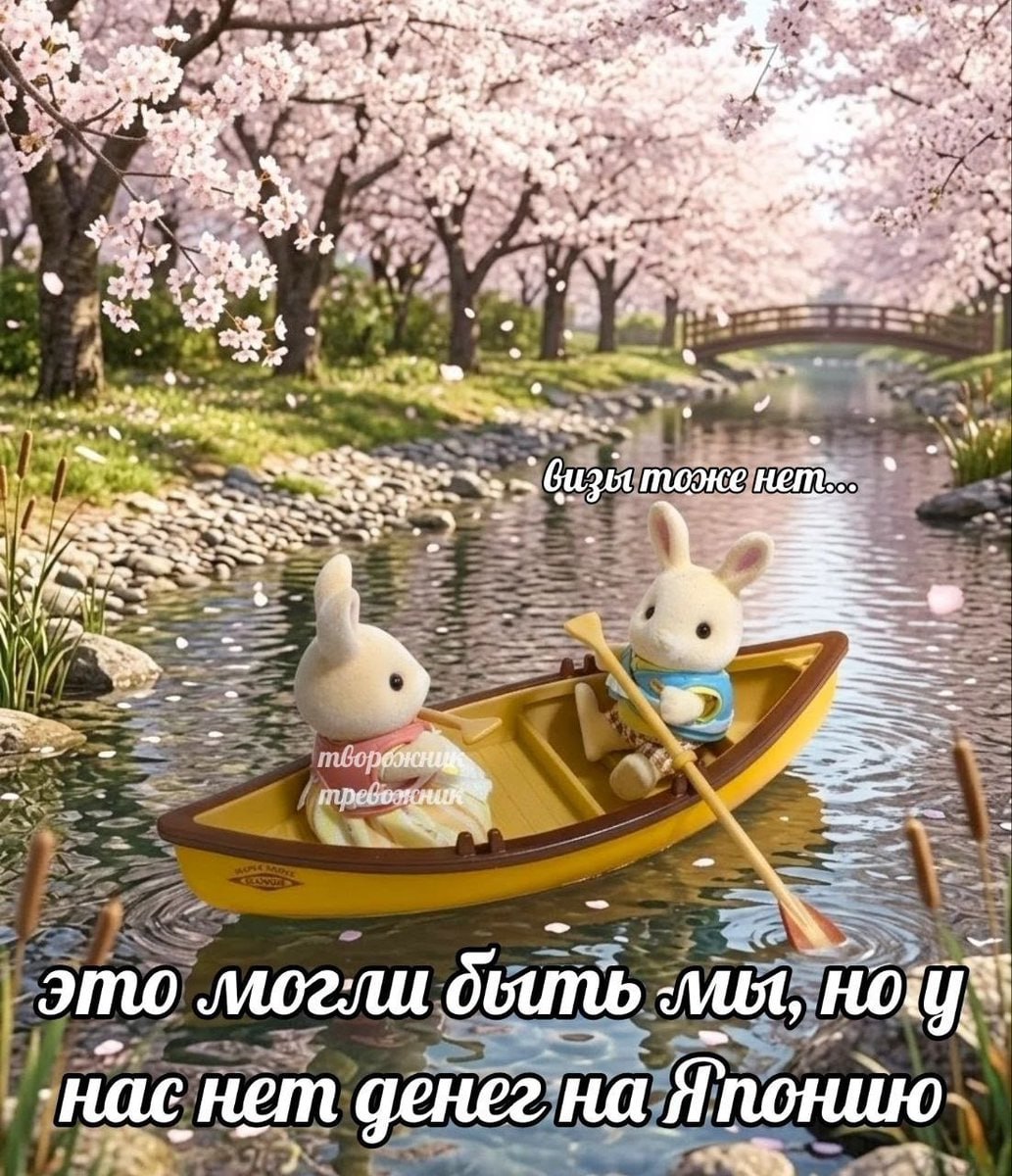 is 5 тоже это могли быть мы, денег на Японию