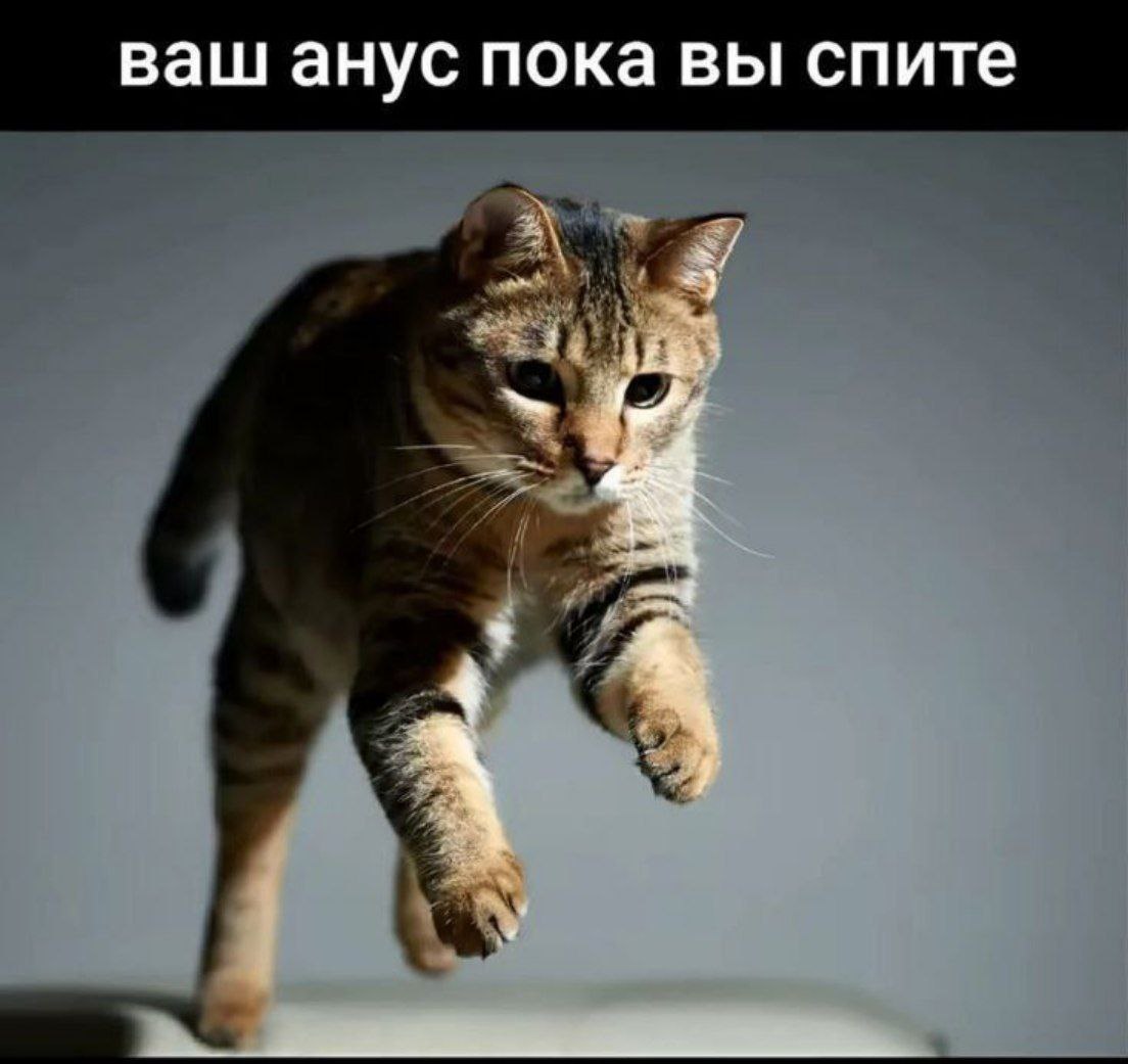 ваш анус пока вы спите