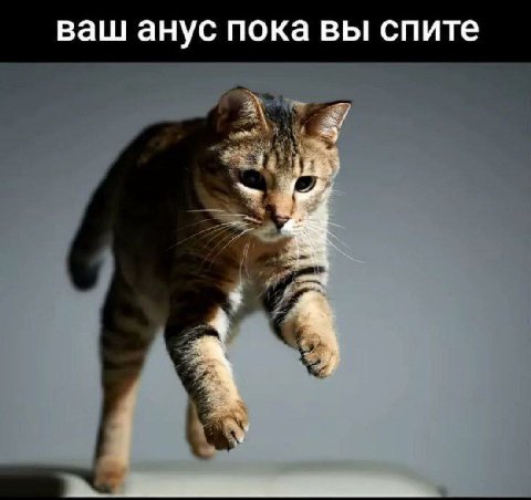 ваш анус пока вы спите