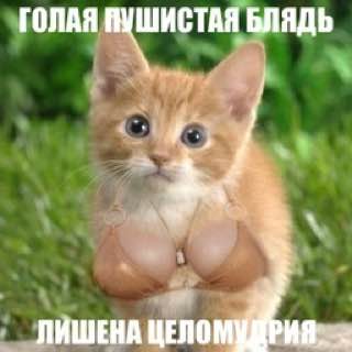 ГОЛАЯ ПУШИСТАЯ БЛЯДЬ ЛИШЕНА