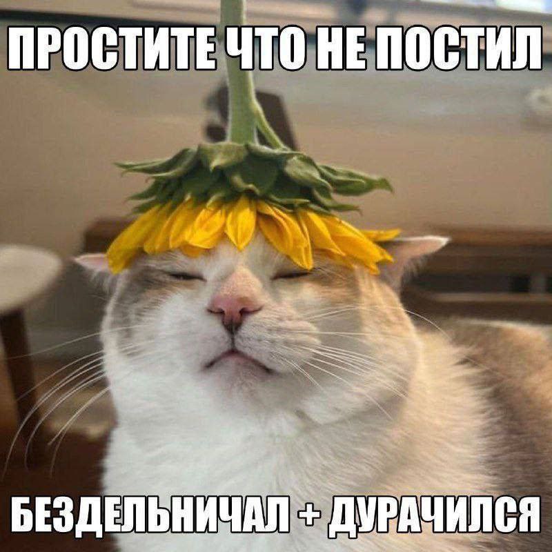 ПРОСТИТЕ ЧТО НЕ ПОСТИЛ ЧИЛСЯ БЕЗДЕЛЬНИЧАЛ