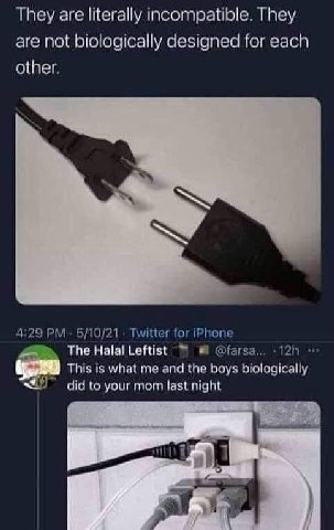 They are literally incompatible. They are not biologically designed for each other. 4:29 Twitter for iPhone The Halal Leftist @farsa... This is what me and the boys biologically did to your тот last n