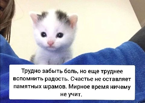 Трудно забыть боль, но еще труднее вспомнить радость. Счастье не оставляет памятных шрамов. Мирное время ничему не учит.