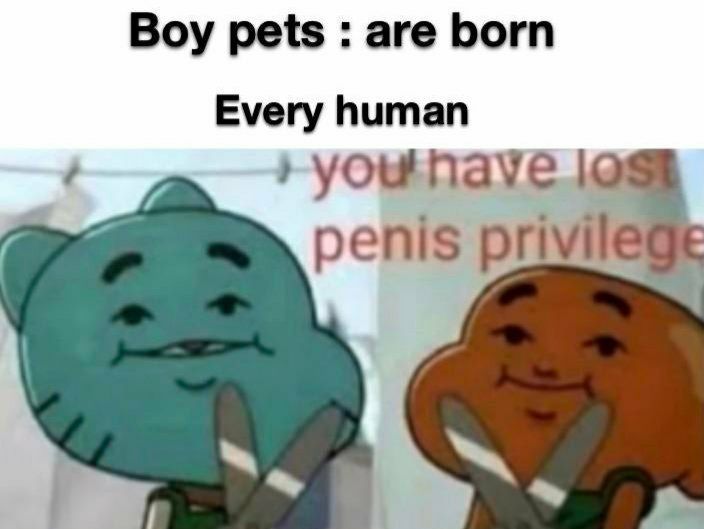 Boy pets are born Every human уошпауе penis privile