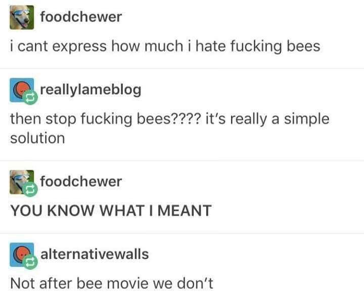 foodchewer i cant express how much i hate fucking bees reallylameblog then stop fucking bees???? it’s really a simple solution foodchewer YOU KNOW WHAT MEANT alternativewalls Not after bee movie we do