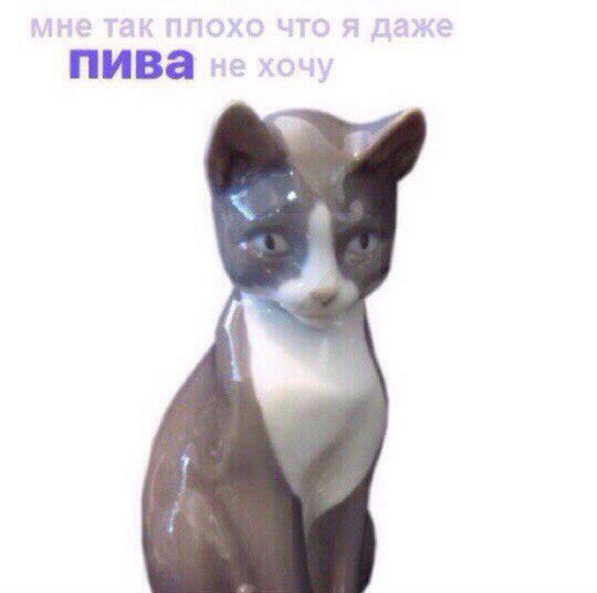 пива